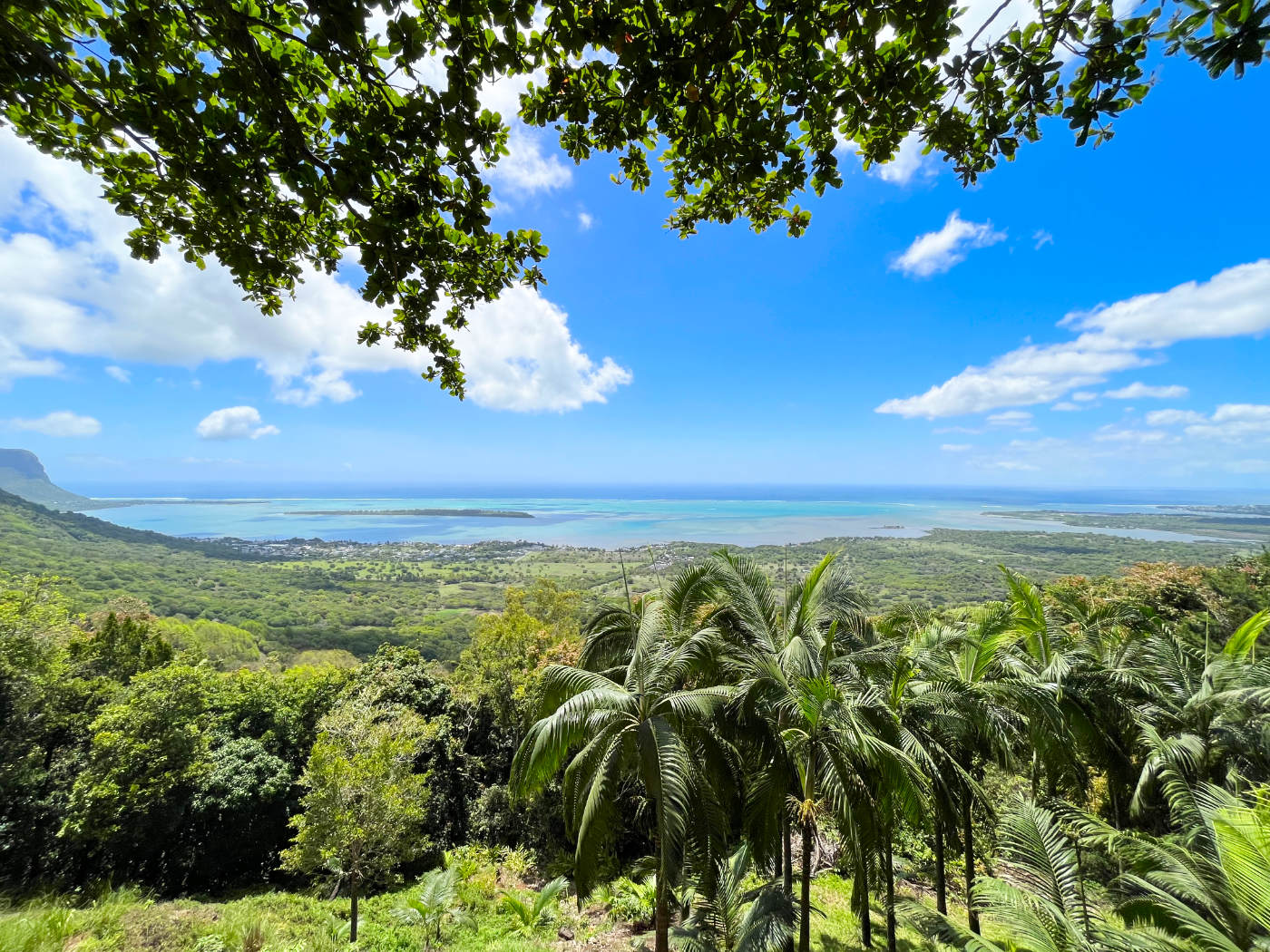 Beautiful Mauritius Landscape