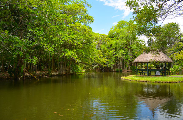 Pamplemousses Garden