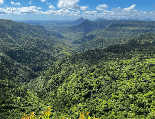 Black river gorge viewpoint